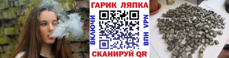 ГАШ Premium цена Волгореченск