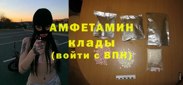 индика Володарск
