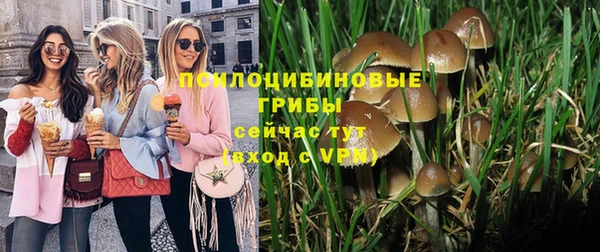 прущие крисы Строитель