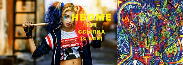 индика Володарск