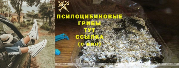spice Ступино