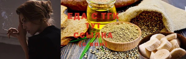 индика Володарск